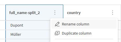 Using the column menu to rename a column