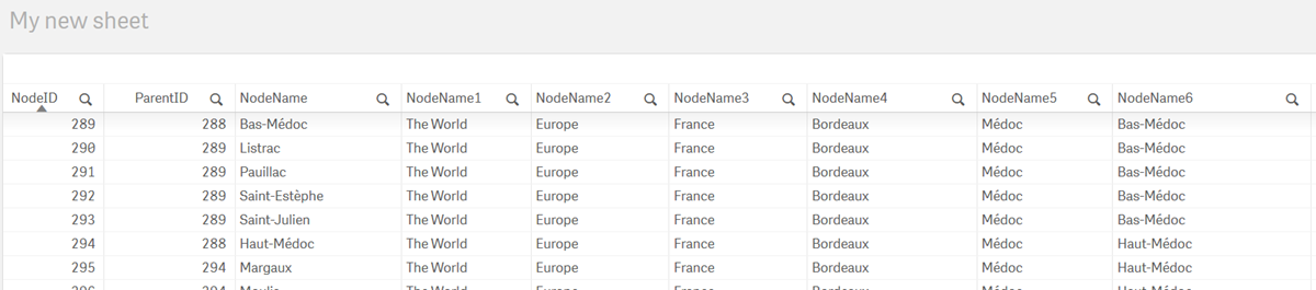 Table showing sample of data loaded using Hierarchy prefix.