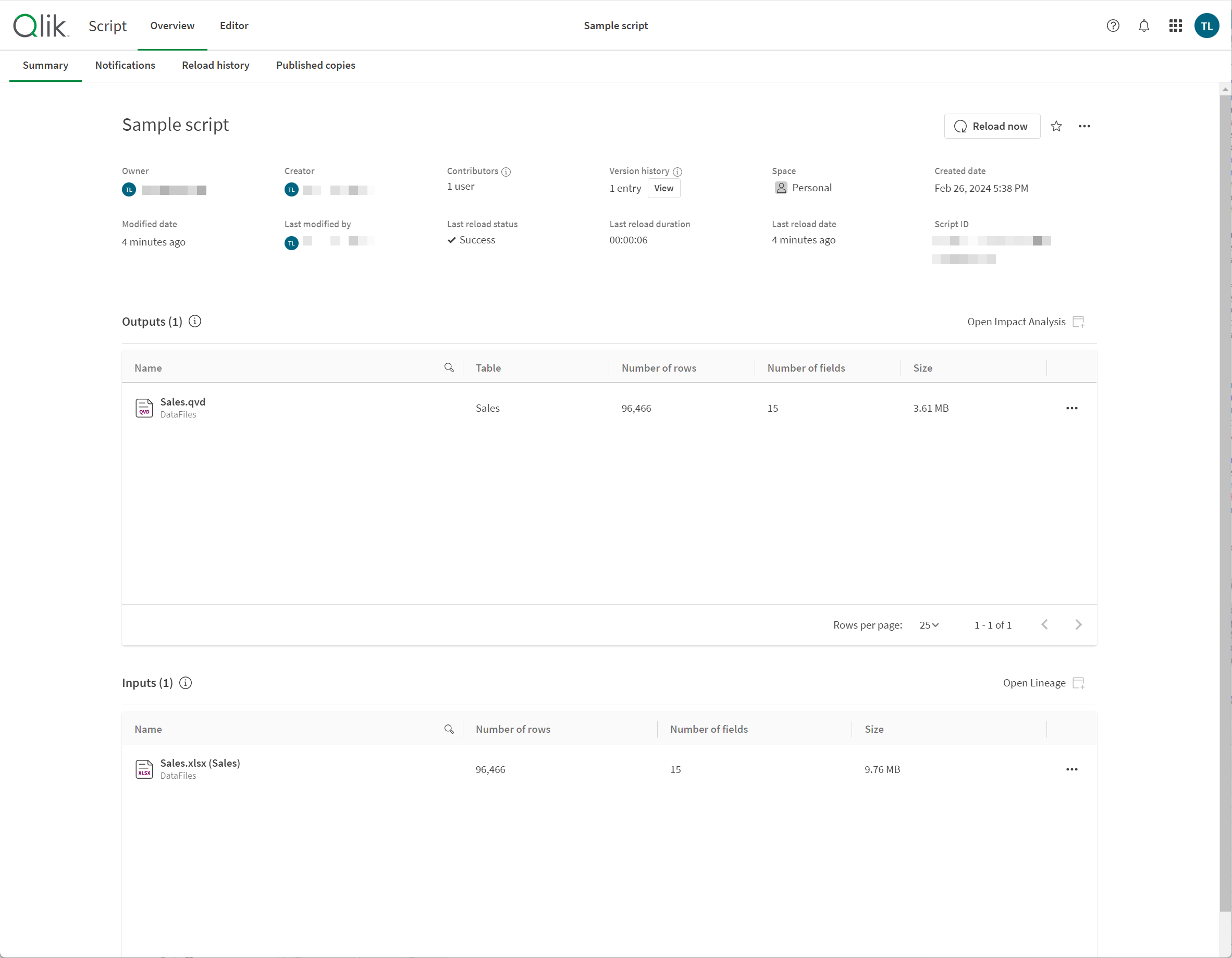 Script editor overiew, open to the Summary tab. There are two outputs displayed in the Outputs section and two inputs listed in the Inputs section.